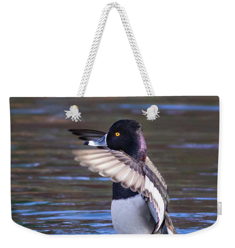 Mark Miller Photos; Ring-necked Duck; Duck; Ducks; Avian; Birds; Waterfowl; Nature; Reflection; Vertical Weekender Tote Bag featuring the photograph Ring-necked Duck Wings Up by Mark Miller