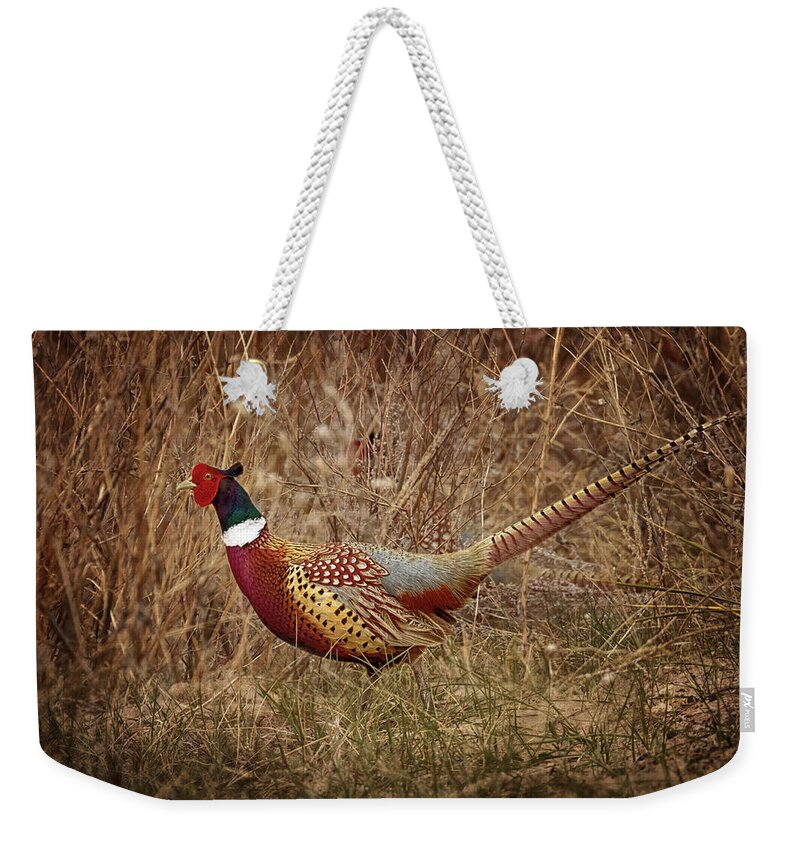 Pheasants Weekender Tote Bag featuring the photograph Ring Necked Pheasant by Susan Rissi Tregoning