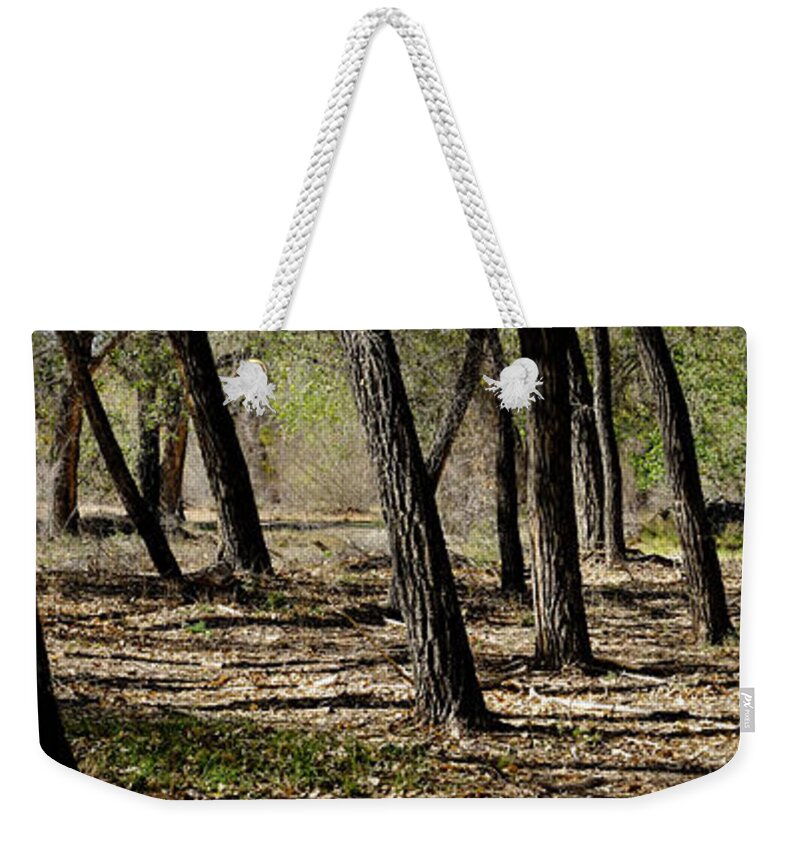 New Mexico Weekender Tote Bag featuring the photograph Rio Grande Bosque near Bernalillo New Mexico by Mary Lee Dereske