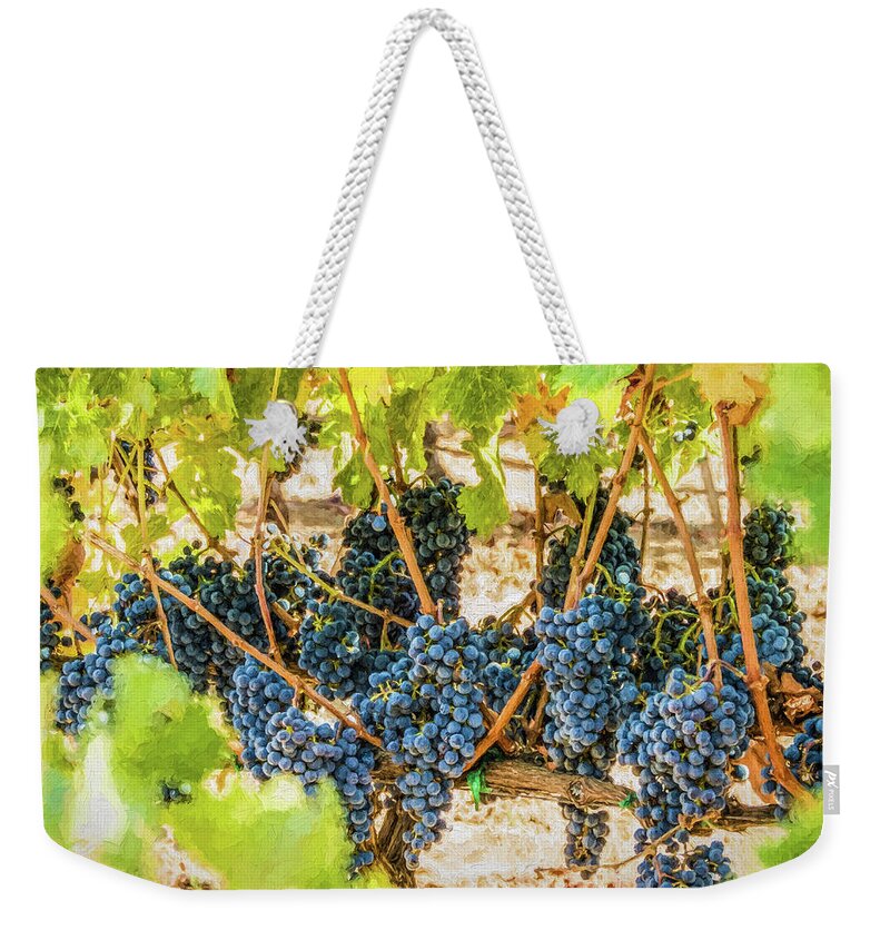 California Weekender Tote Bag featuring the photograph Ripe Grapes on Vine by David Letts