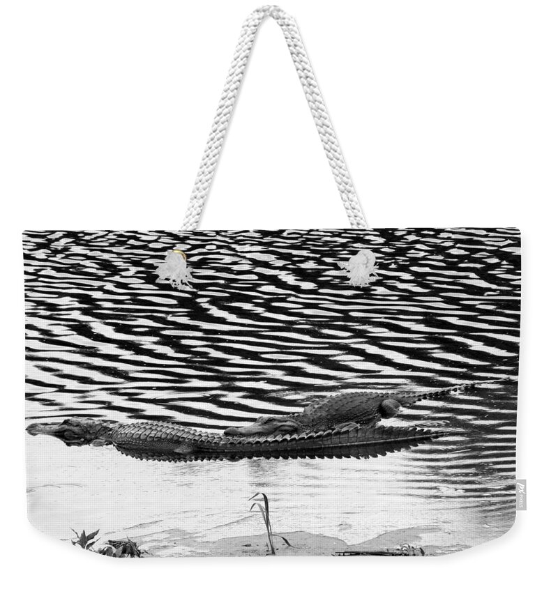 Aligator Weekender Tote Bag featuring the photograph Ripped Aligators by Farol Tomson