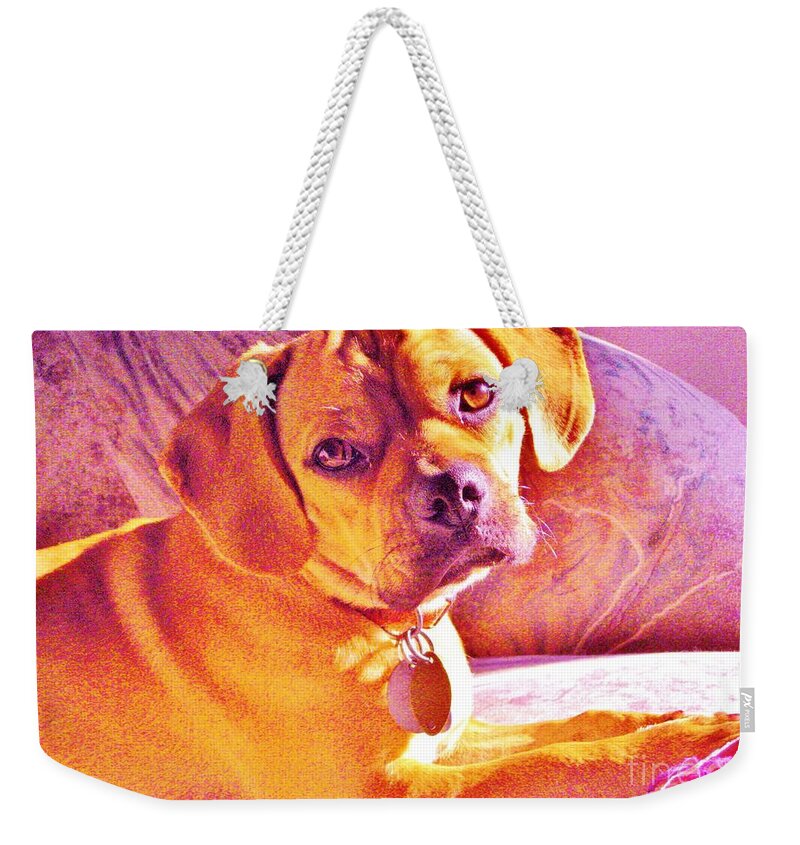 Dog Weekender Tote Bag featuring the photograph Ripple by Susan Carella
