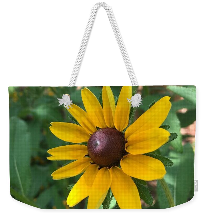 Sunflower Weekender Tote Bag featuring the photograph Rise and Shine by Pamela Henry