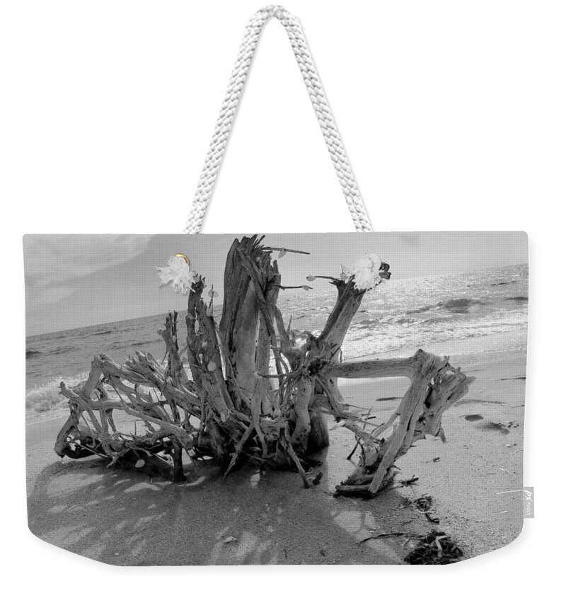 Coast Weekender Tote Bag featuring the photograph Rising From the Sand by Robert Wilder Jr