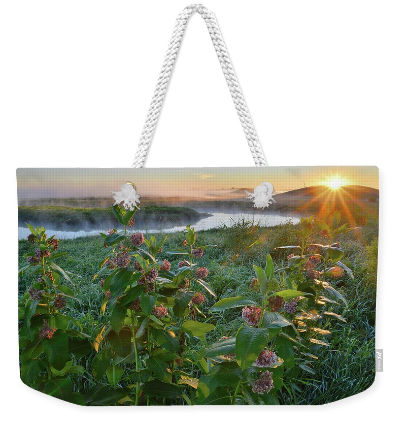 Glacial Park Weekender Tote Bag featuring the photograph Rising Sun Backlights Milkweed along Nippersink Creek in Glacial Park by Ray Mathis