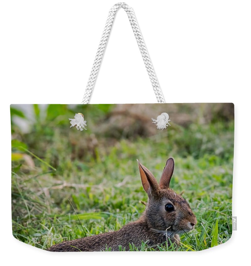 Rabbit Weekender Tote Bag featuring the photograph River Rabbit by Holden The Moment