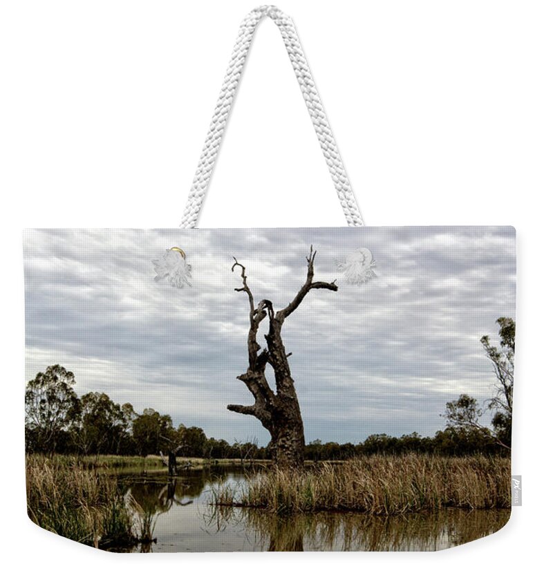 Tree Weekender Tote Bag featuring the photograph River trees V3 by Douglas Barnard