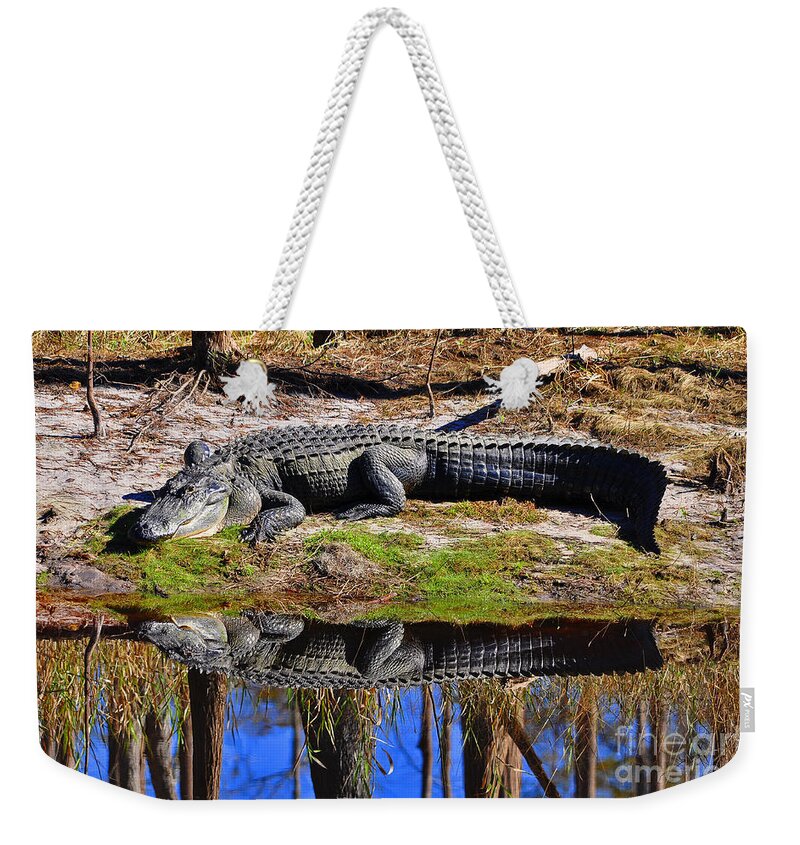 American Alligator Weekender Tote Bag featuring the photograph Riverside Reflection by Al Powell Photography USA