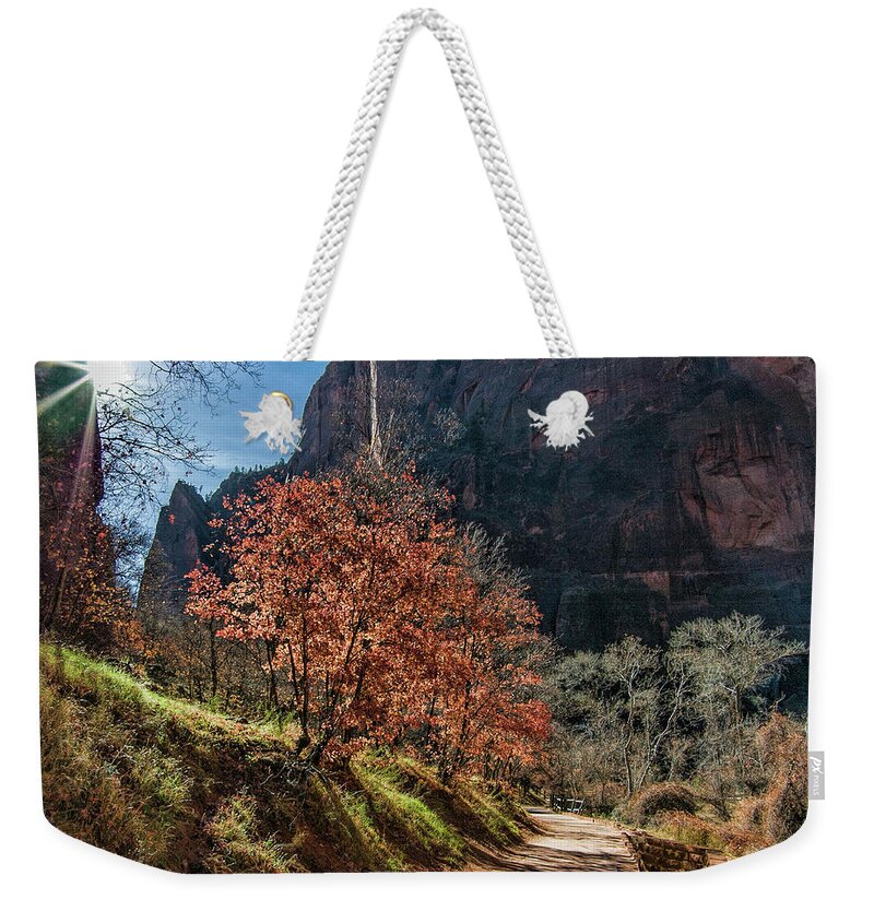Winter Weekender Tote Bag featuring the photograph Riverside Walk by Mike Herdering