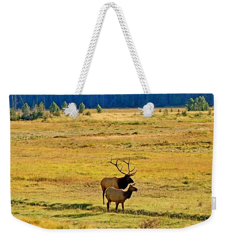 Elk Pair Weekender Tote Bag featuring the photograph RMNP Plains in Autumn by Robert Meyers-Lussier