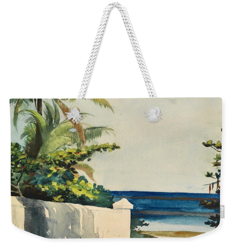 Winslow Homer Weekender Tote Bag featuring the drawing Road in Nassau, No. 1 Nassau Street by Winslow Homer
