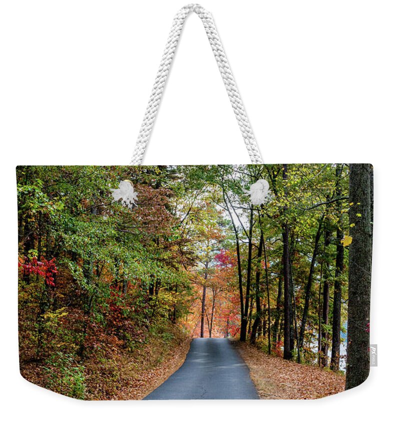Southern Gothic Weekender Tote Bag featuring the photograph Road in the Woods by James L Bartlett