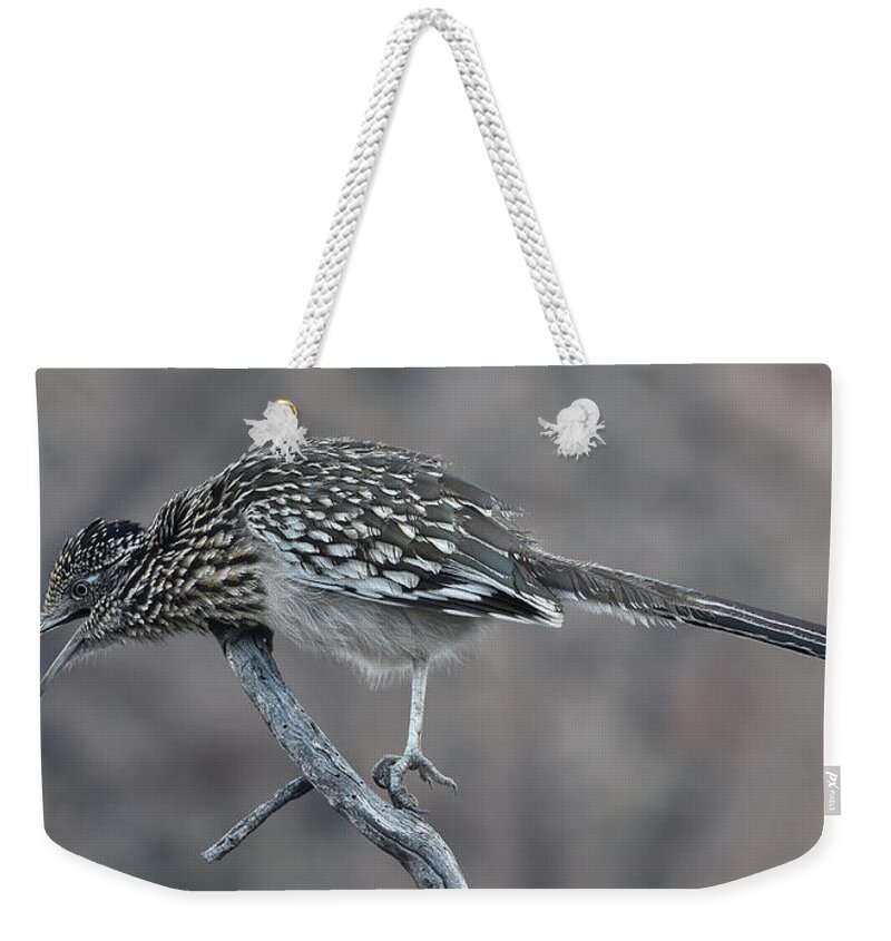 Roadrunner Weekender Tote Bag featuring the photograph Roadrunner by Ben Foster