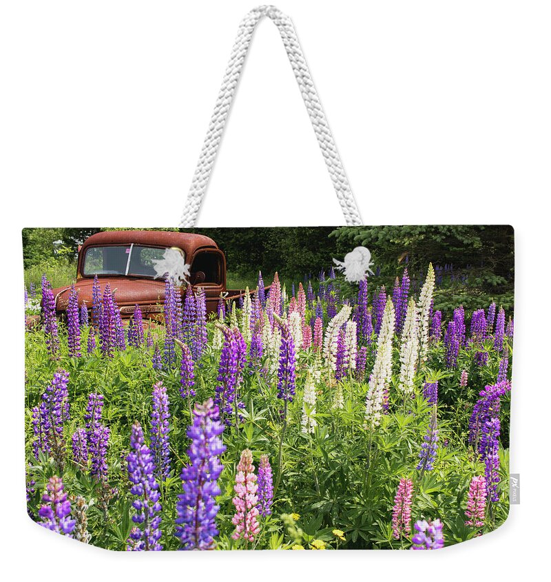 Lupines Weekender Tote Bag featuring the photograph Roadside Attraction by Holly Ross