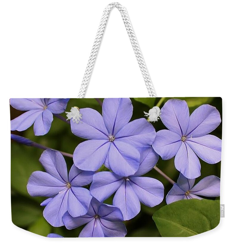 Nature Weekender Tote Bag featuring the photograph Lavender Splendor by Bruce Bley