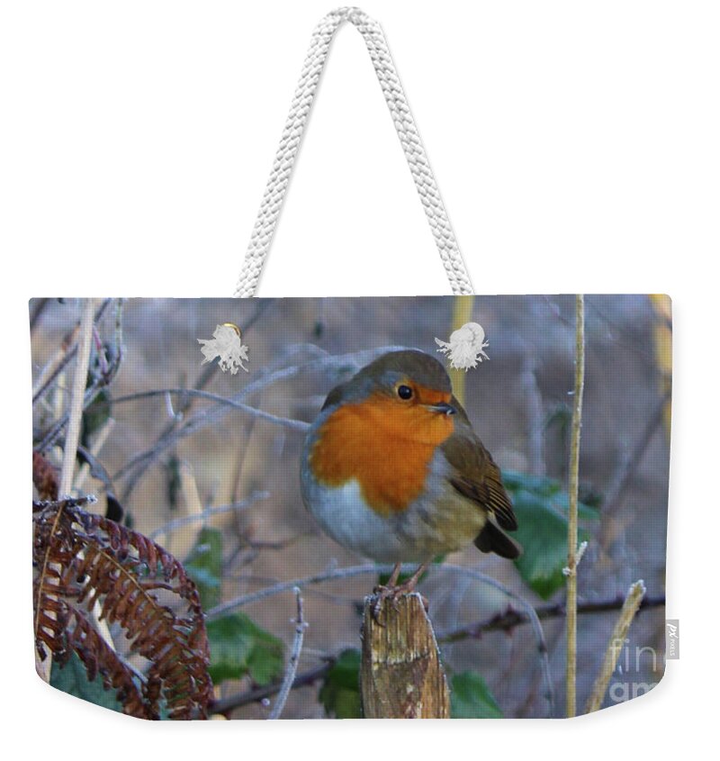 Bird Weekender Tote Bag featuring the photograph Robin by Eddie Barron