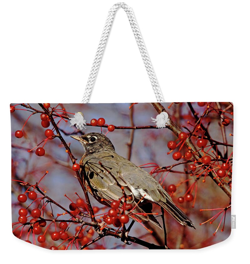 Robin Weekender Tote Bag featuring the photograph Robin Heaven by Debbie Oppermann