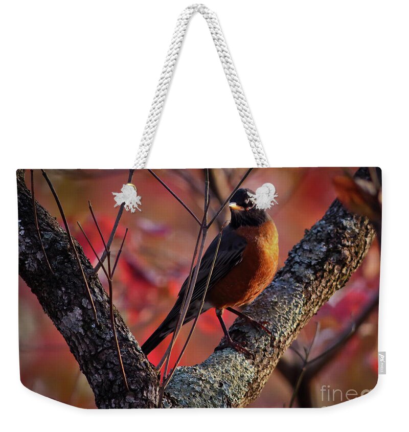 Robin Weekender Tote Bag featuring the photograph Robin in the Dogwood by Douglas Stucky