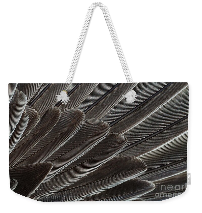 Animal Weekender Tote Bag featuring the photograph Robin Wing Feathers by John Kaprielian