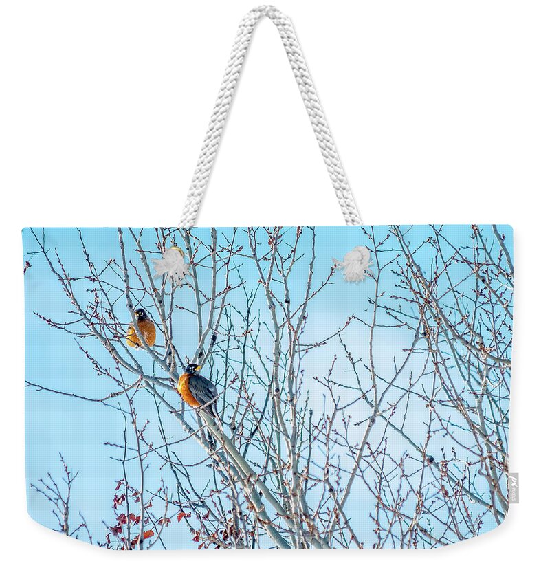 Cheryl Baxter Photography Weekender Tote Bag featuring the photograph Robins in a Tree Spring Scene by Cheryl Baxter