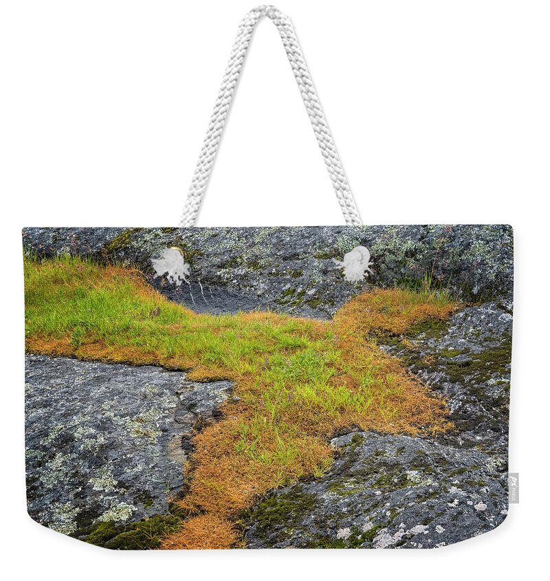 Oregon Coast Weekender Tote Bag featuring the photograph Rock And Grass by Tom Singleton