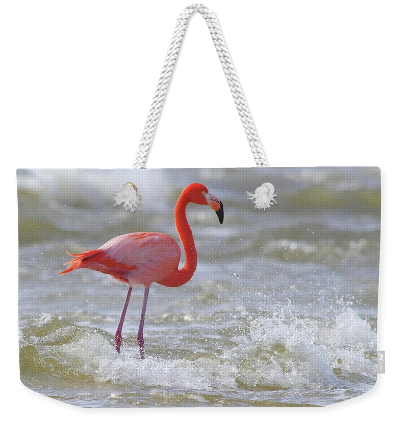 Waves Weekender Tote Bag featuring the photograph Rockin' Waves by Evelyn Garcia