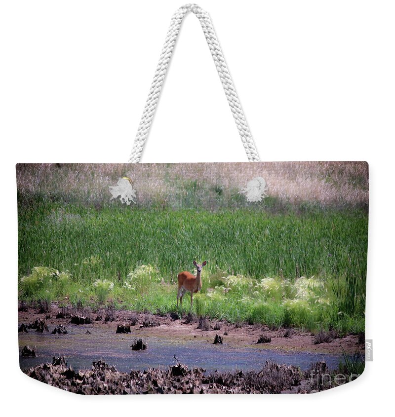 Deer Weekender Tote Bag featuring the photograph Rocky Mountain Arsenal National Wildlife Refuge by Veronica Batterson