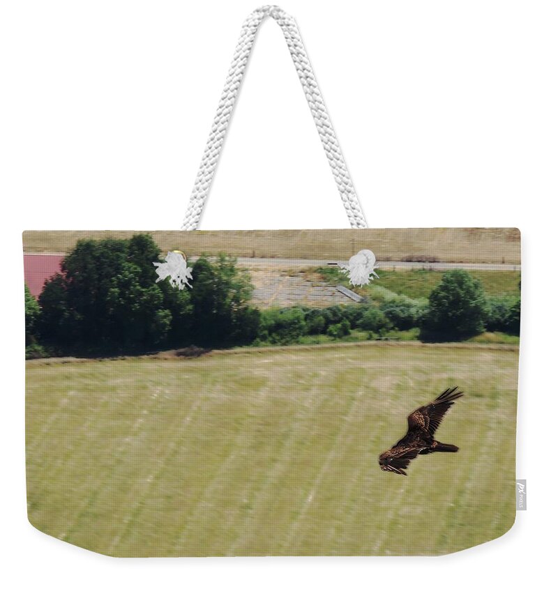 Hawk Weekender Tote Bag featuring the photograph Rogue Rider by Vincent Green