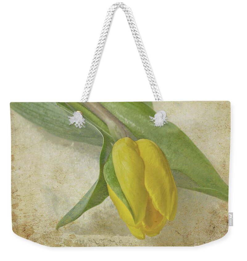Antiqued Weekender Tote Bag featuring the photograph Romance by Traci Cottingham