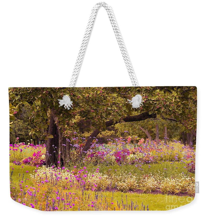 Tree Weekender Tote Bag featuring the photograph Romanesquerie by Aimelle Ml