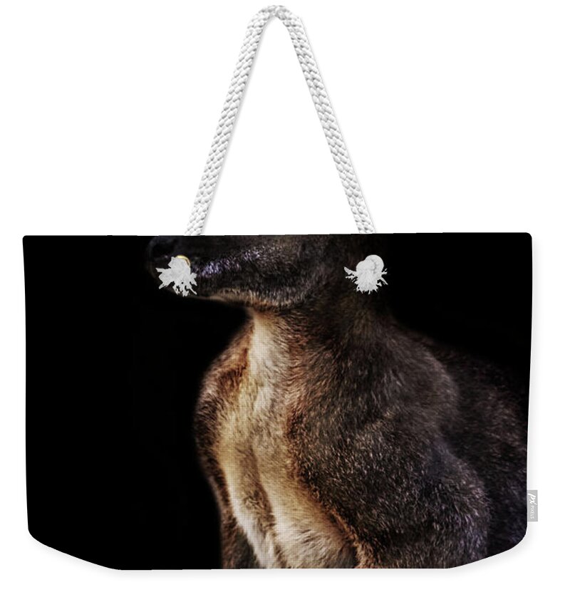 Kangaroo Weekender Tote Bag featuring the photograph Roo by Martin Newman