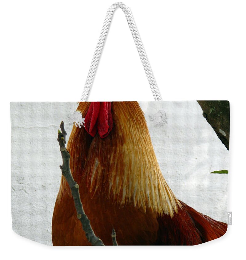 Rooster Weekender Tote Bag featuring the photograph Rooster in Miami backyard by Amanda Barcon