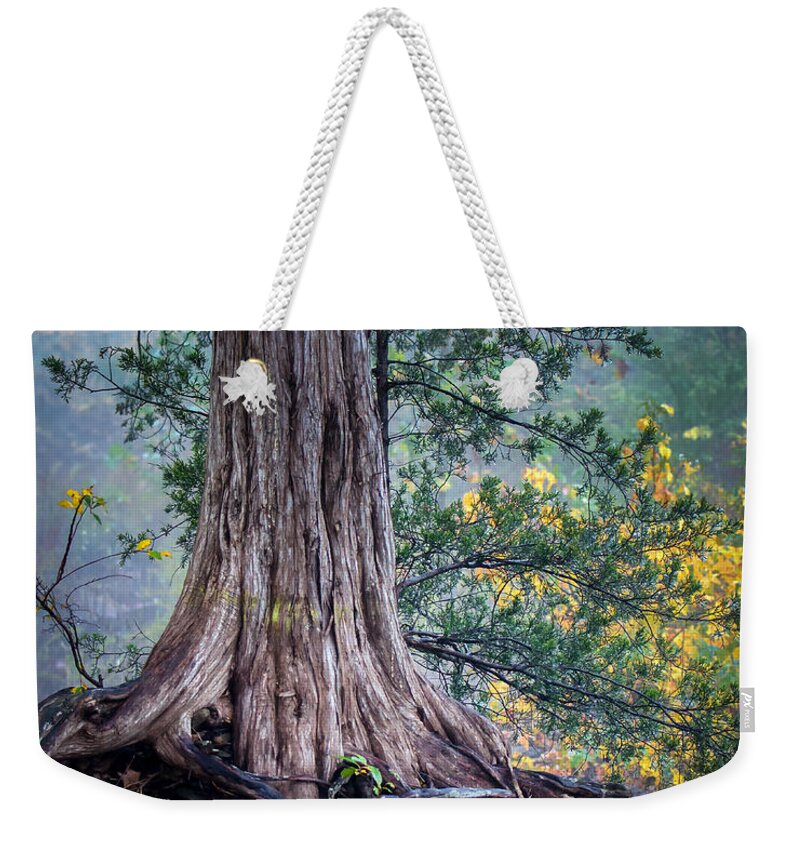 Ozarks Weekender Tote Bag featuring the photograph Rooted by James Barber
