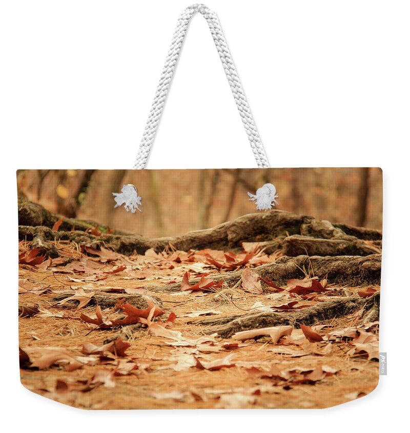 Illinois Weekender Tote Bag featuring the photograph Roots Along the Path by Joni Eskridge