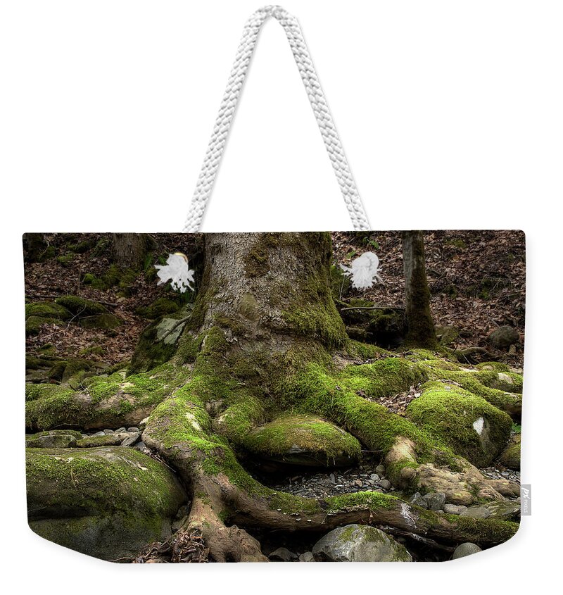 Roots Weekender Tote Bag featuring the photograph Roots Along The River by Mike Eingle