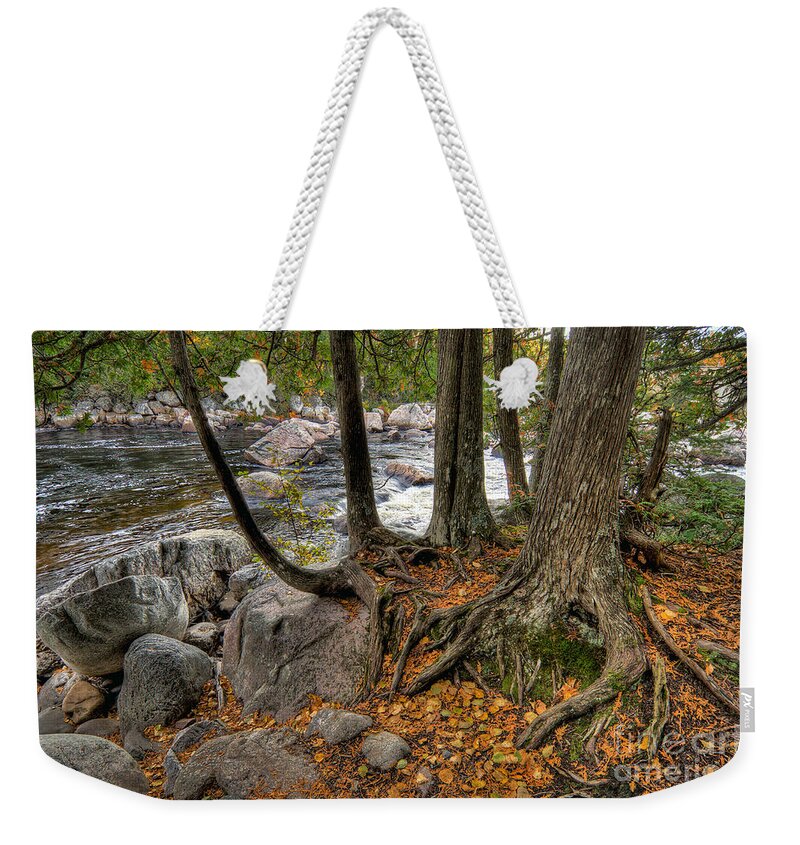 Canada Weekender Tote Bag featuring the photograph Roots by Doug Gibbons