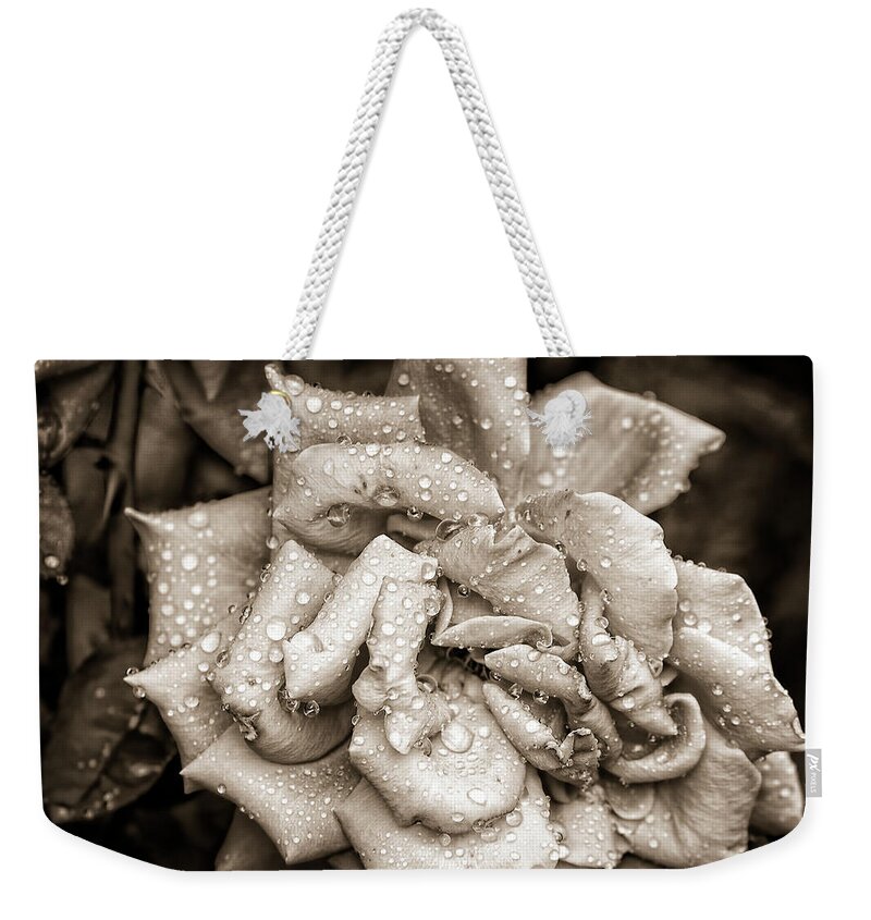 Rose Weekender Tote Bag featuring the photograph Rose After The Rain by Amber Flowers