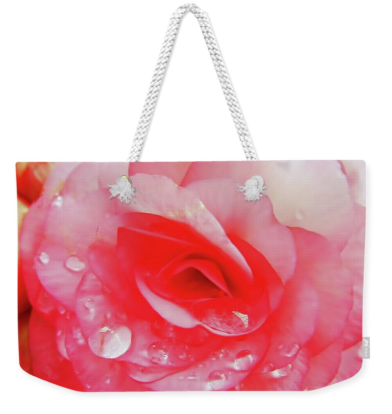 Roses Weekender Tote Bag featuring the photograph Rose After The Rain by D Hackett
