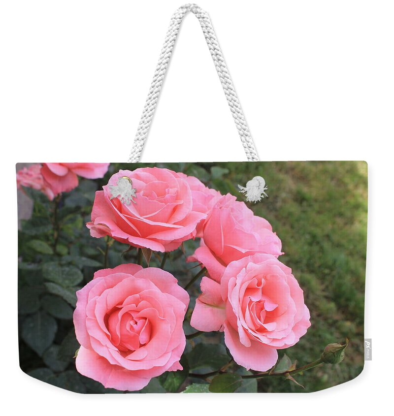 Flower Weekender Tote Bag featuring the photograph Rose by Armen Kirakosyan
