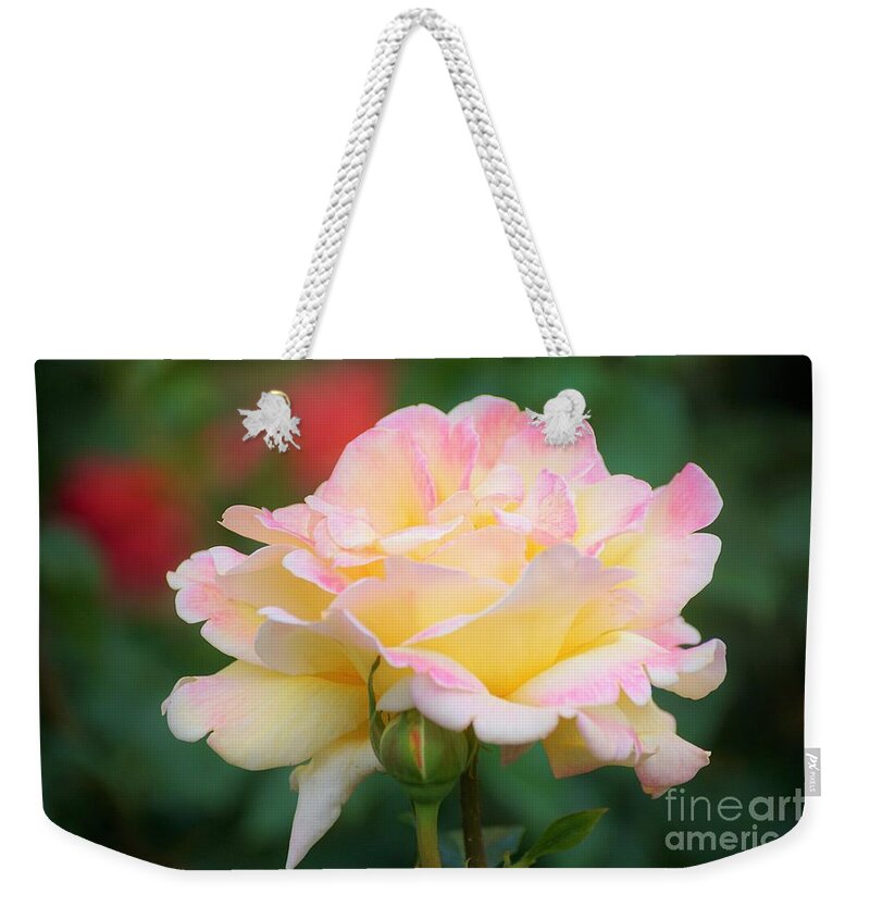 Rose Weekender Tote Bag featuring the photograph Rose Beauty by Merle Grenz