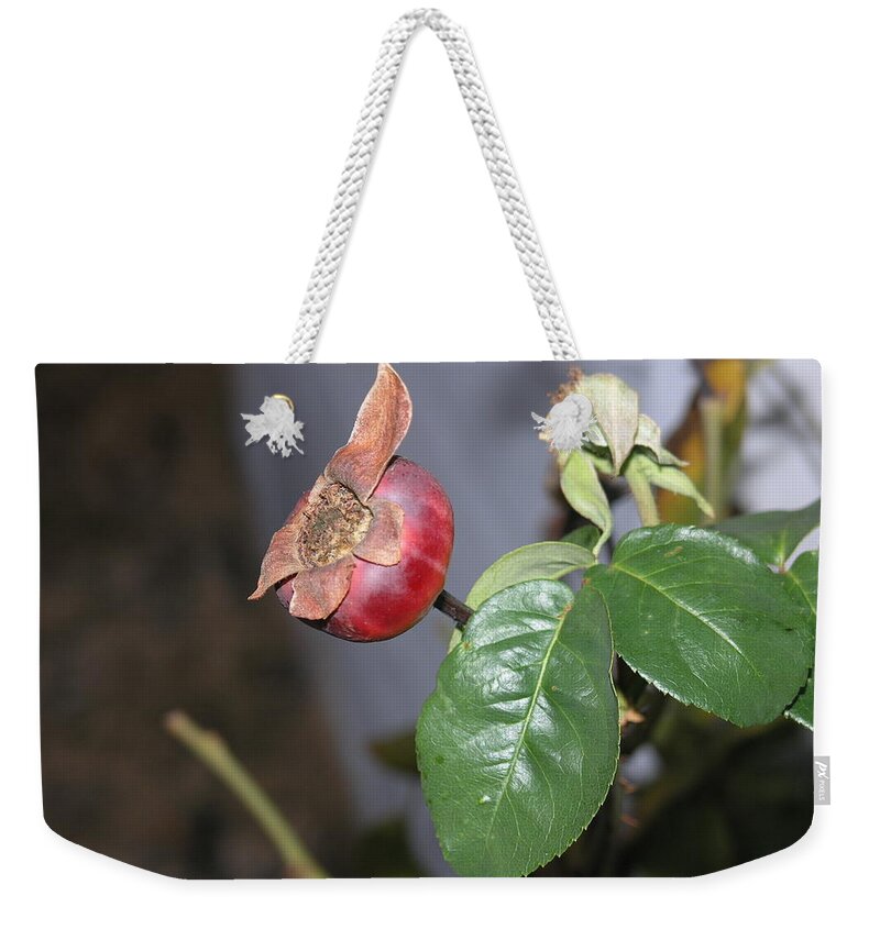 Rose Hip Weekender Tote Bag featuring the photograph Rose Hip by Stephen Daddona