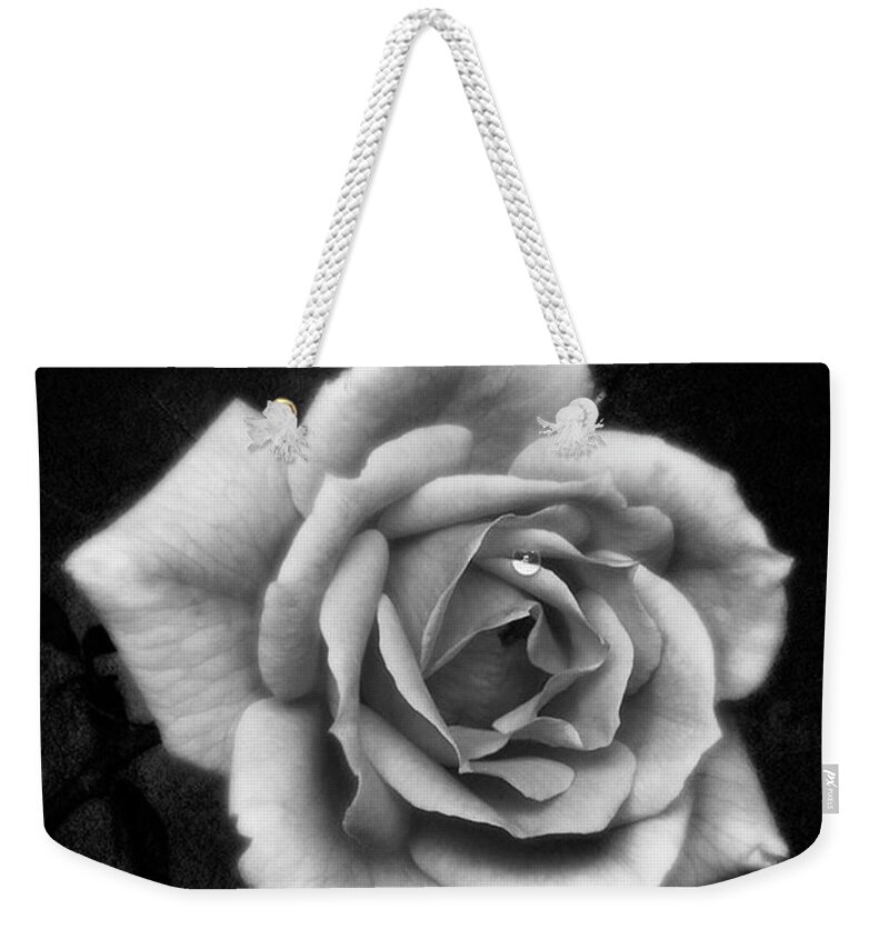 Beautiful Weekender Tote Bag featuring the photograph Rose In Mono. #flower #flowers by John Edwards