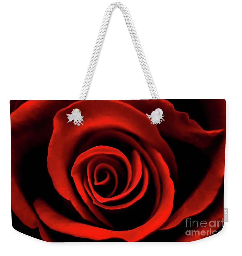 Flower Weekender Tote Bag featuring the photograph Rose by Mariusz Talarek