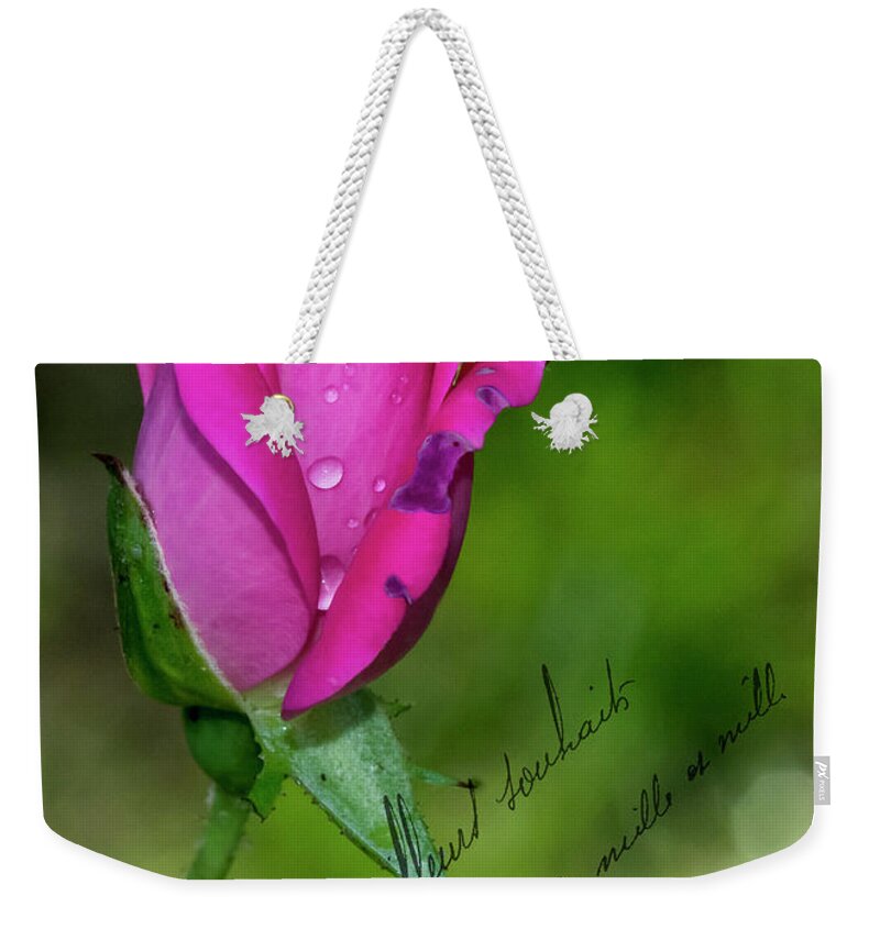 Note Card Weekender Tote Bag featuring the photograph Rose Notes by Cathy Kovarik