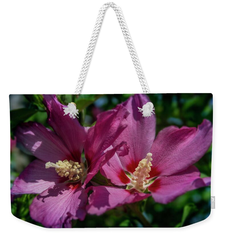 Flowers Weekender Tote Bag featuring the photograph Rose of Sharon Hibiscus by Garry McMichael