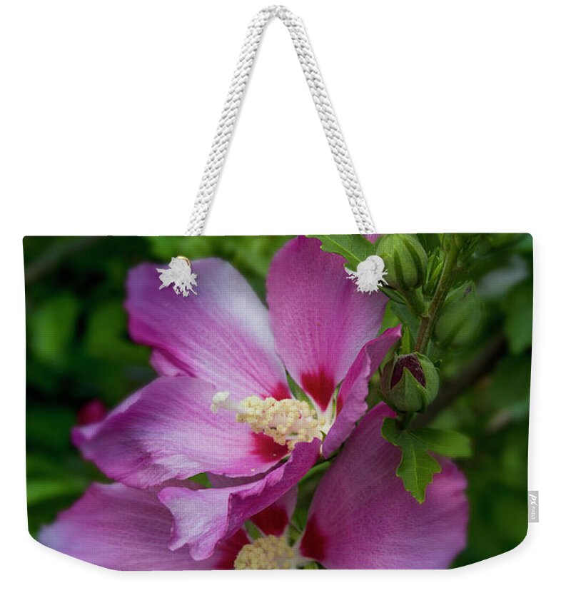 Flowers Weekender Tote Bag featuring the photograph Rose of Sharon Hibiscus Vertical by Garry McMichael