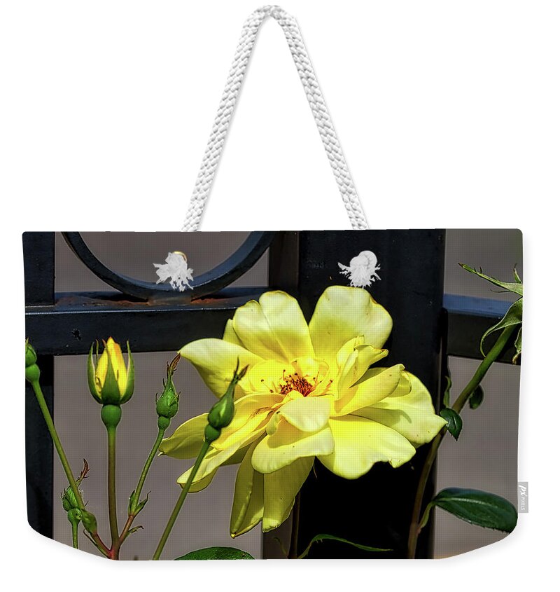 Yellow Weekender Tote Bag featuring the photograph Rose on Wrought Iron by Richard Gregurich