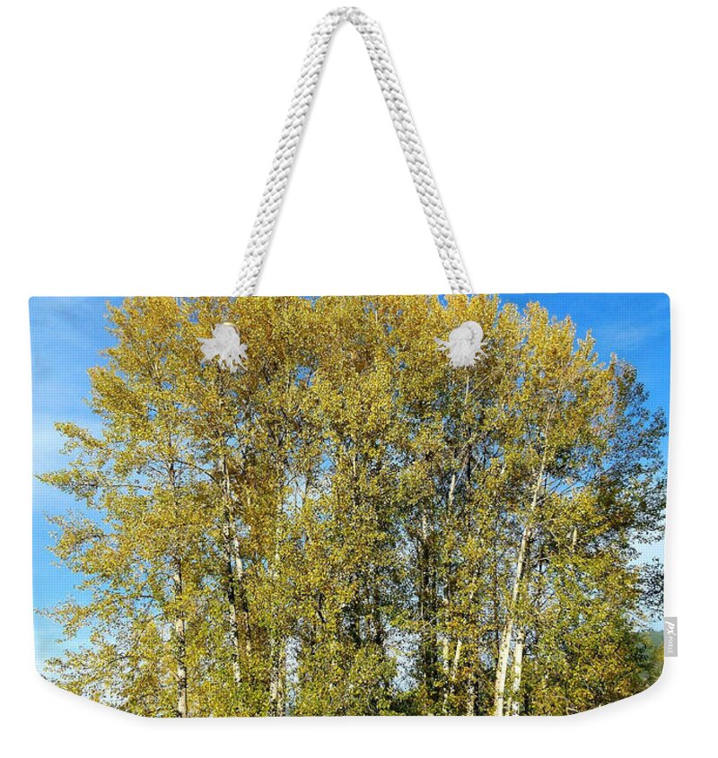 #rosehipsandcottonwoods Weekender Tote Bag featuring the photograph Rosehips And Cottonwoods by Will Borden