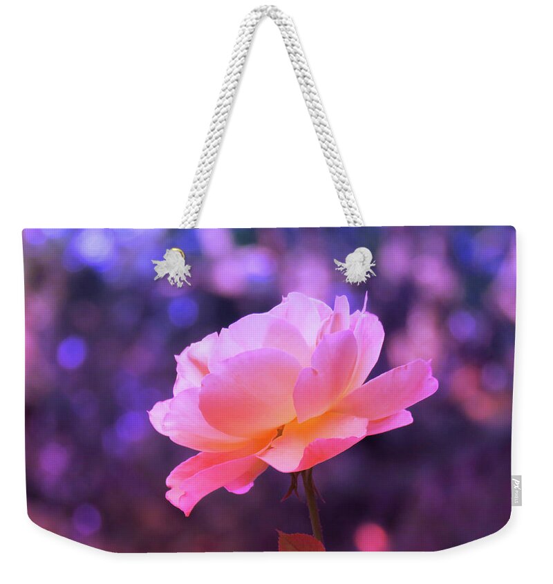 Rosy Glow Weekender Tote Bag featuring the photograph Rosy Glow Pink Rose - Floral Photography from the Garden by Brooks Garten Hauschild