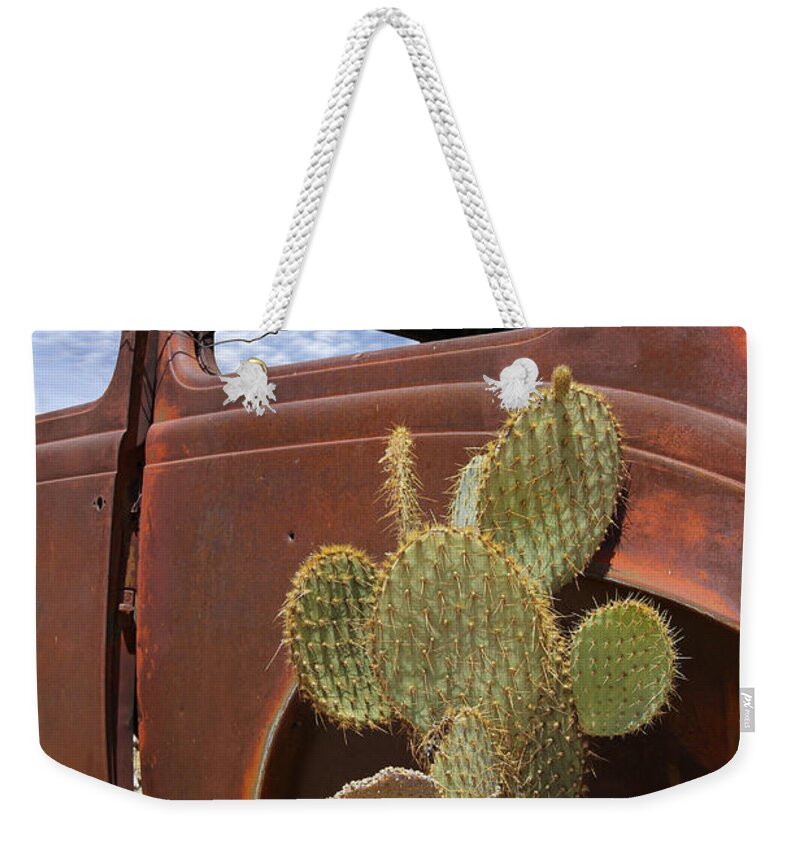 Southwest Weekender Tote Bag featuring the photograph Route 66 Cactus by Mike McGlothlen